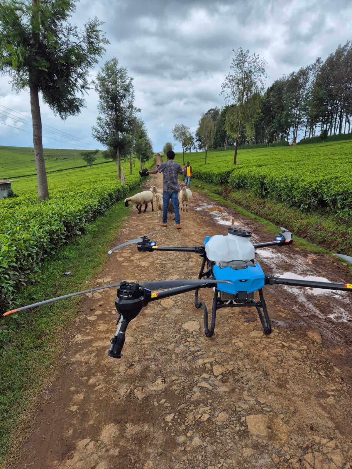 Home Drone Spraying